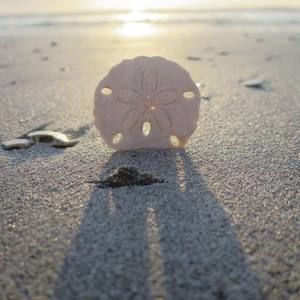 Meet your Posher, Terry